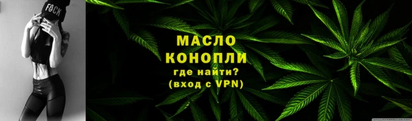 молекула духа Верхний Тагил