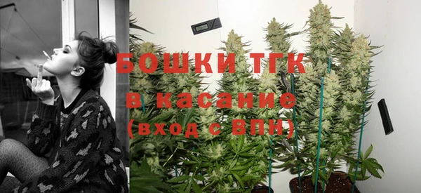 молекула духа Верхний Тагил
