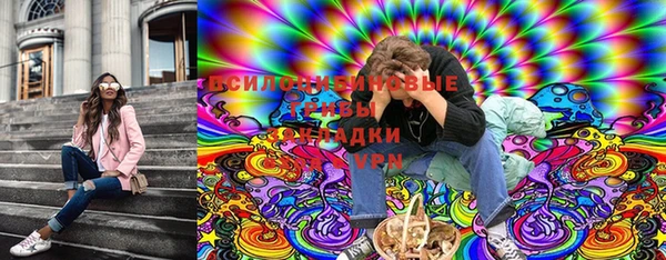 молекула духа Верхний Тагил