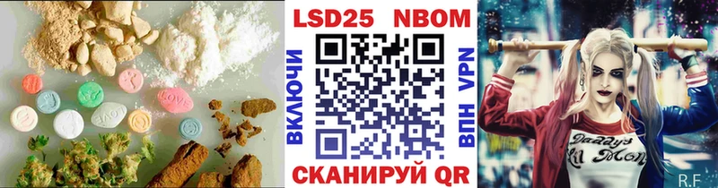 MEGA маркетплейс  Новоржев  LSD-25 экстази кислота 