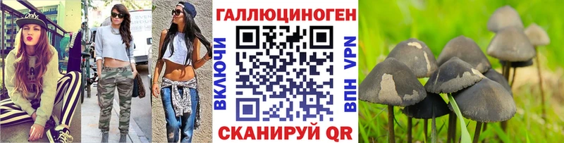 darknet состав  магазин    ОМГ ОМГ   Новоржев  Псилоцибиновые грибы GOLDEN TEACHER 